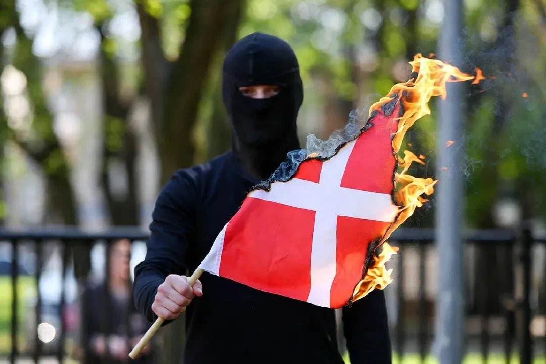 Maskeret person brænder et Dannebrog af i en park